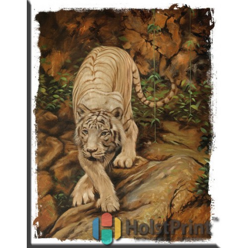Картина Тигра, , 168.00 грн., JVV777031, , Картины Животных (Репродукции картин)